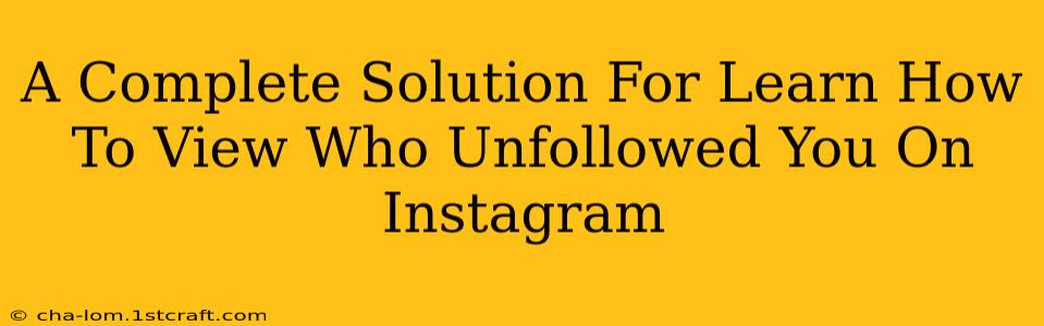 A Complete Solution For Learn How To View Who Unfollowed You On Instagram