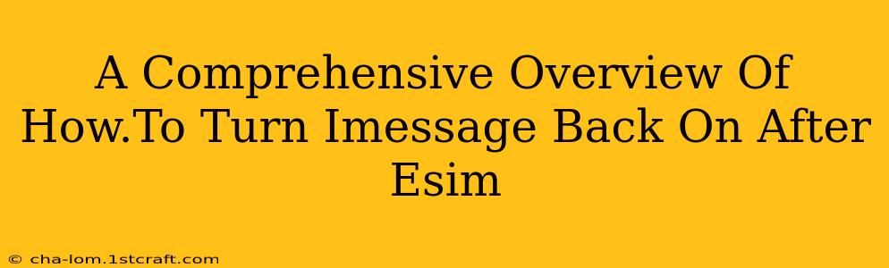 A Comprehensive Overview Of How.To Turn Imessage Back On After Esim