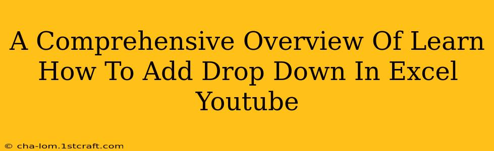 A Comprehensive Overview Of Learn How To Add Drop Down In Excel Youtube