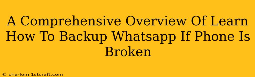 A Comprehensive Overview Of Learn How To Backup Whatsapp If Phone Is Broken