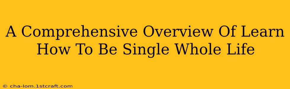 A Comprehensive Overview Of Learn How To Be Single Whole Life