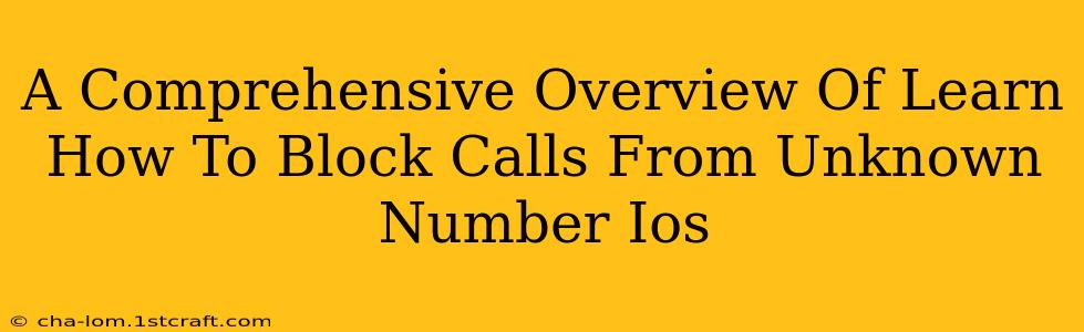 A Comprehensive Overview Of Learn How To Block Calls From Unknown Number Ios