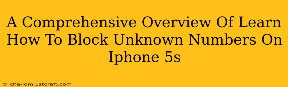 A Comprehensive Overview Of Learn How To Block Unknown Numbers On Iphone 5s