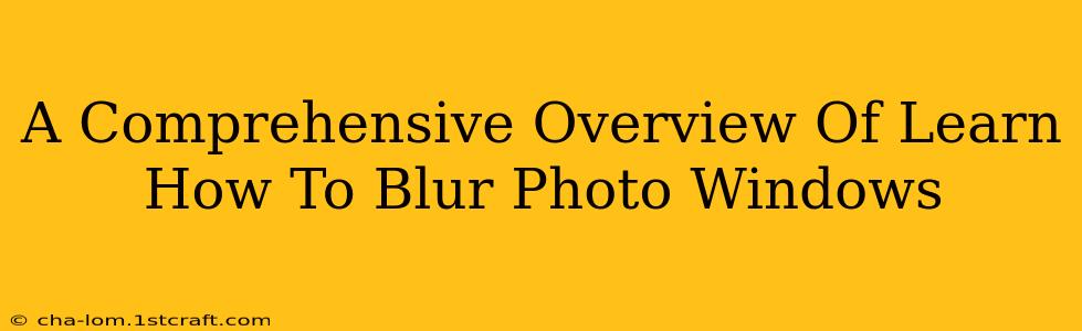 A Comprehensive Overview Of Learn How To Blur Photo Windows