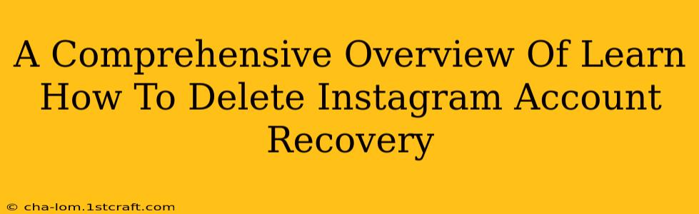 A Comprehensive Overview Of Learn How To Delete Instagram Account Recovery