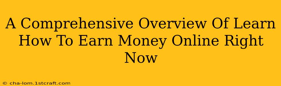 A Comprehensive Overview Of Learn How To Earn Money Online Right Now