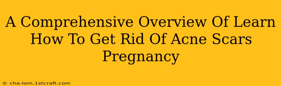 A Comprehensive Overview Of Learn How To Get Rid Of Acne Scars Pregnancy