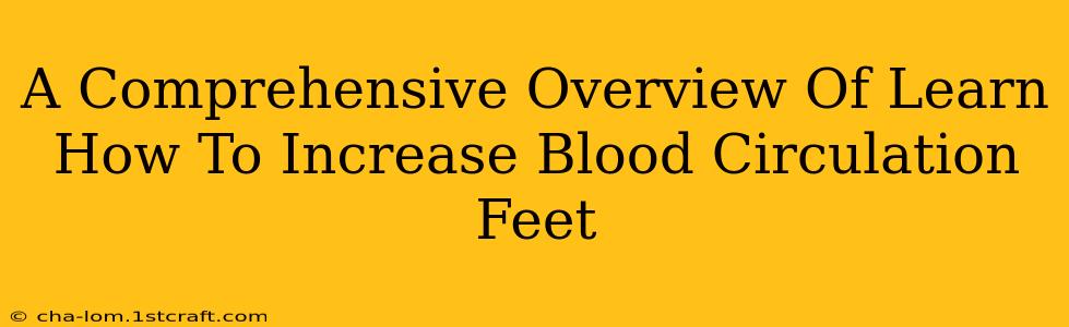 A Comprehensive Overview Of Learn How To Increase Blood Circulation Feet