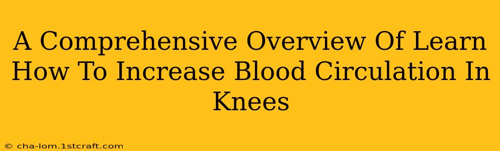 A Comprehensive Overview Of Learn How To Increase Blood Circulation In Knees