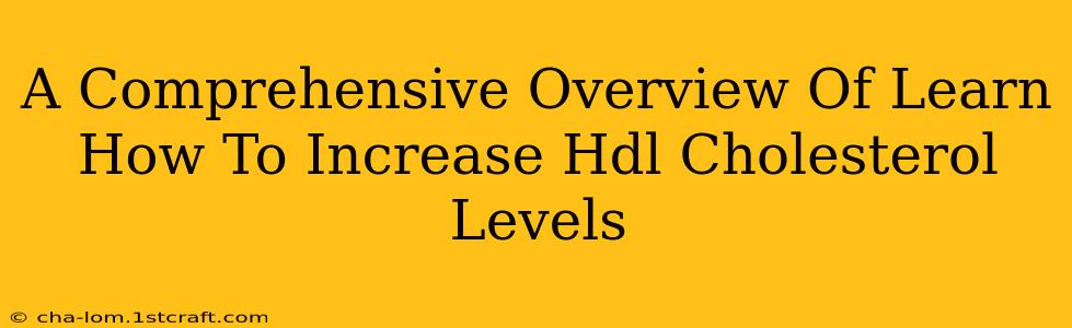 A Comprehensive Overview Of Learn How To Increase Hdl Cholesterol Levels