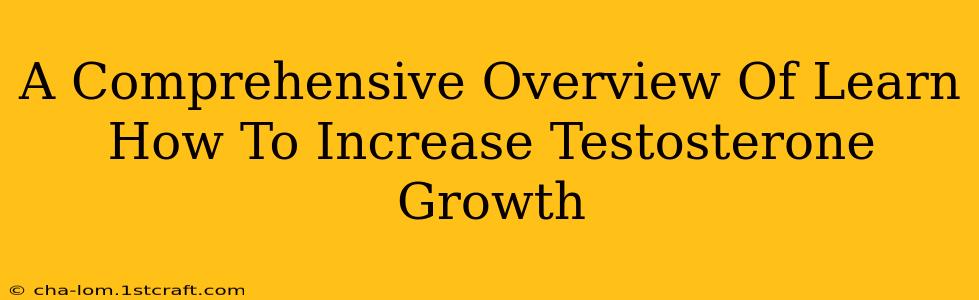 A Comprehensive Overview Of Learn How To Increase Testosterone Growth