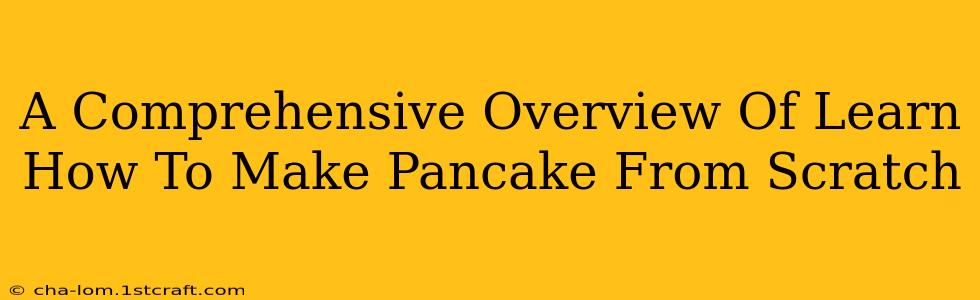 A Comprehensive Overview Of Learn How To Make Pancake From Scratch