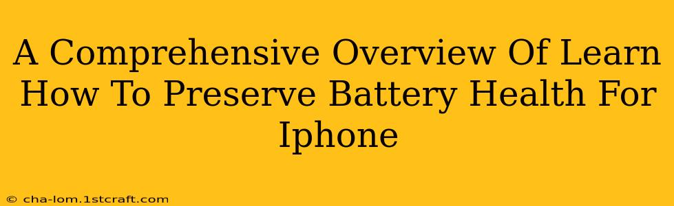 A Comprehensive Overview Of Learn How To Preserve Battery Health For Iphone