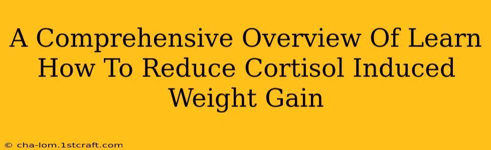 A Comprehensive Overview Of Learn How To Reduce Cortisol Induced Weight Gain