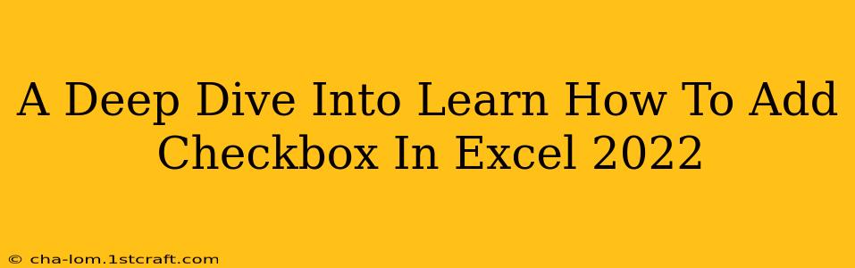 A Deep Dive Into Learn How To Add Checkbox In Excel 2022