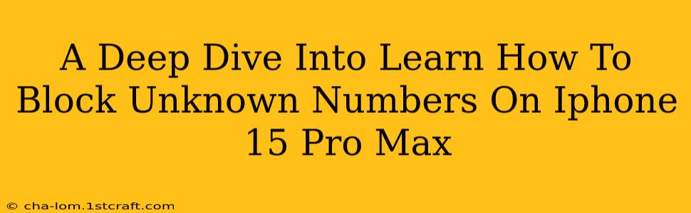 A Deep Dive Into Learn How To Block Unknown Numbers On Iphone 15 Pro Max