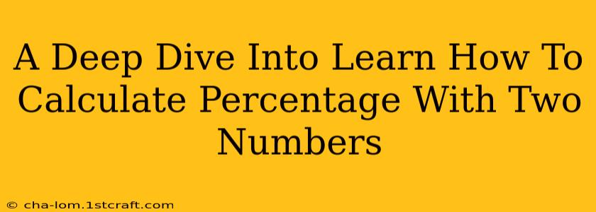 A Deep Dive Into Learn How To Calculate Percentage With Two Numbers