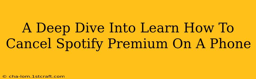 A Deep Dive Into Learn How To Cancel Spotify Premium On A Phone