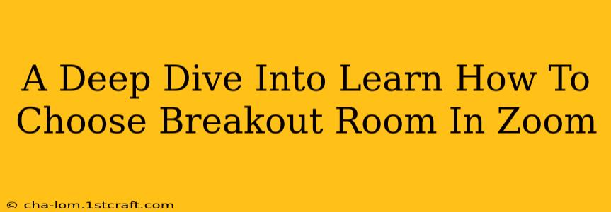 A Deep Dive Into Learn How To Choose Breakout Room In Zoom