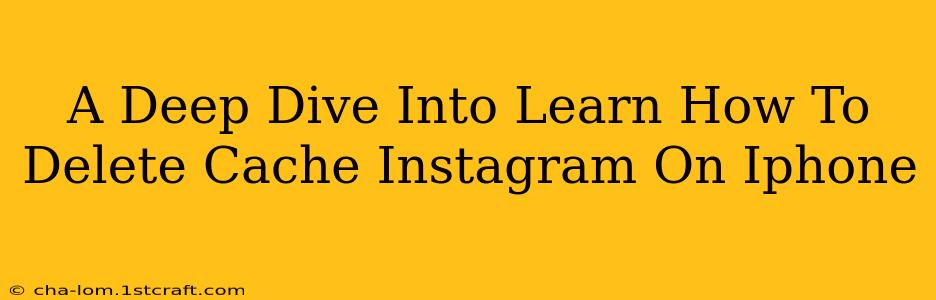 A Deep Dive Into Learn How To Delete Cache Instagram On Iphone