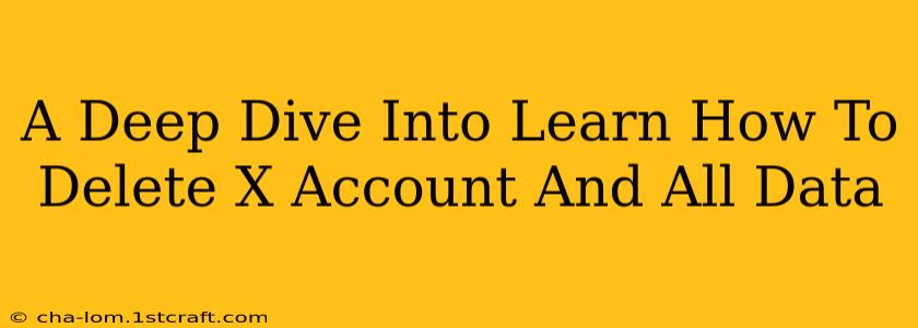 A Deep Dive Into Learn How To Delete X Account And All Data