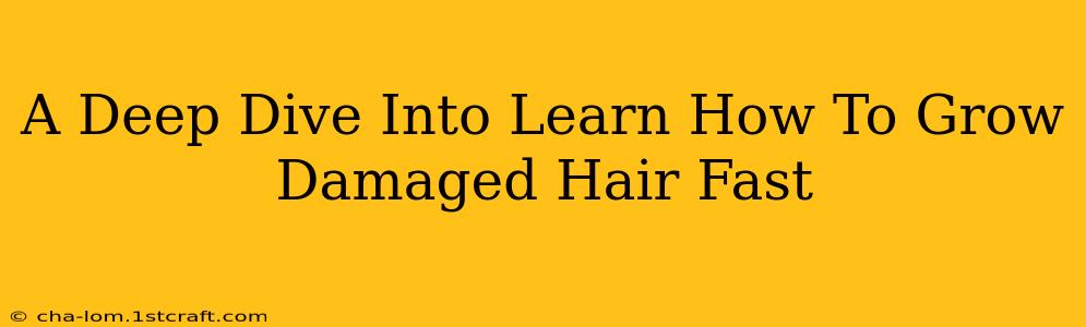 A Deep Dive Into Learn How To Grow Damaged Hair Fast