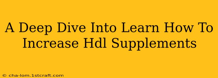 A Deep Dive Into Learn How To Increase Hdl Supplements