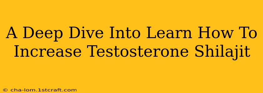 A Deep Dive Into Learn How To Increase Testosterone Shilajit