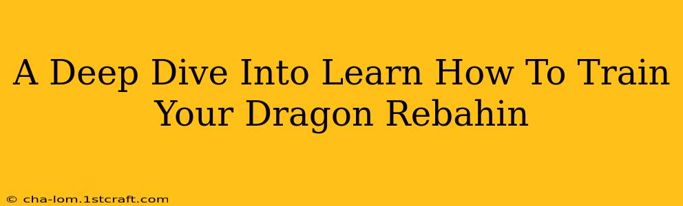 A Deep Dive Into Learn How To Train Your Dragon Rebahin