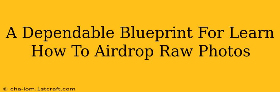 A Dependable Blueprint For Learn How To Airdrop Raw Photos