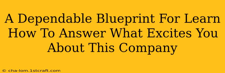 A Dependable Blueprint For Learn How To Answer What Excites You About This Company