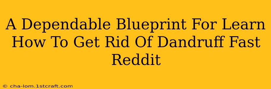 A Dependable Blueprint For Learn How To Get Rid Of Dandruff Fast Reddit