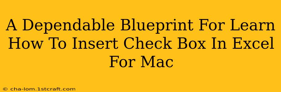 A Dependable Blueprint For Learn How To Insert Check Box In Excel For Mac