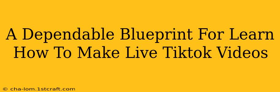 A Dependable Blueprint For Learn How To Make Live Tiktok Videos