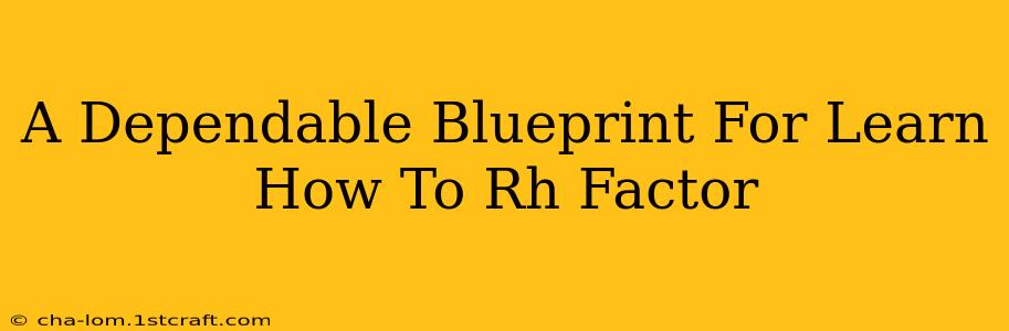 A Dependable Blueprint For Learn How To Rh Factor