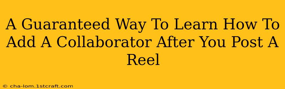 A Guaranteed Way To Learn How To Add A Collaborator After You Post A Reel