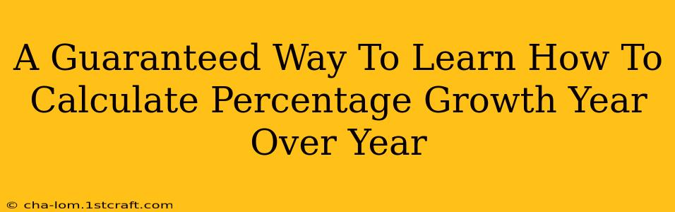 A Guaranteed Way To Learn How To Calculate Percentage Growth Year Over Year