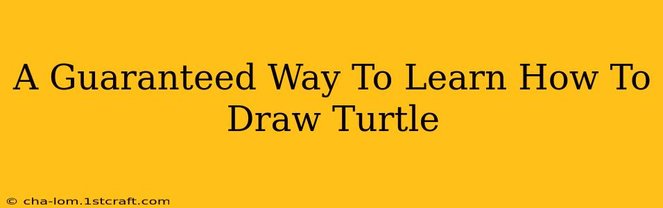 A Guaranteed Way To Learn How To Draw Turtle