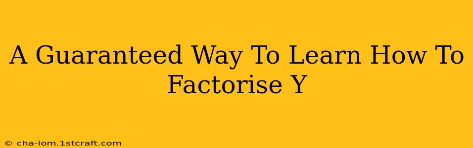 A Guaranteed Way To Learn How To Factorise Y