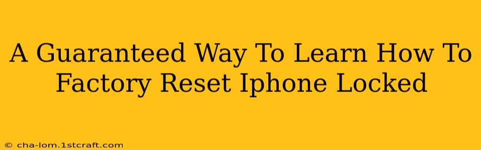 A Guaranteed Way To Learn How To Factory Reset Iphone Locked