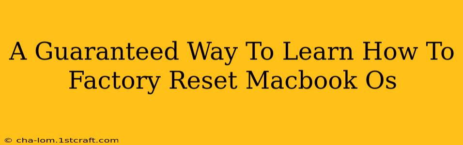 A Guaranteed Way To Learn How To Factory Reset Macbook Os