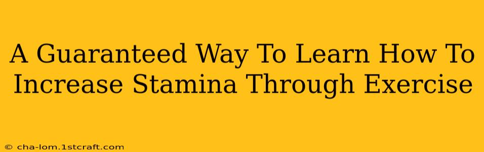 A Guaranteed Way To Learn How To Increase Stamina Through Exercise