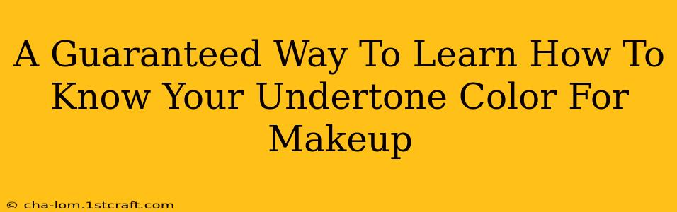 A Guaranteed Way To Learn How To Know Your Undertone Color For Makeup