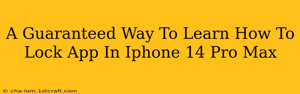 A Guaranteed Way To Learn How To Lock App In Iphone 14 Pro Max