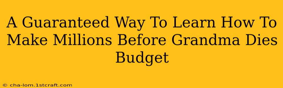 A Guaranteed Way To Learn How To Make Millions Before Grandma Dies Budget