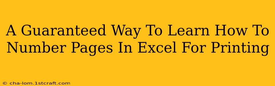 A Guaranteed Way To Learn How To Number Pages In Excel For Printing