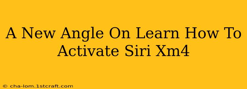 A New Angle On Learn How To Activate Siri Xm4