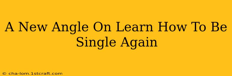 A New Angle On Learn How To Be Single Again