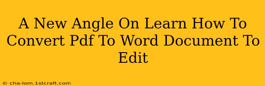 A New Angle On Learn How To Convert Pdf To Word Document To Edit