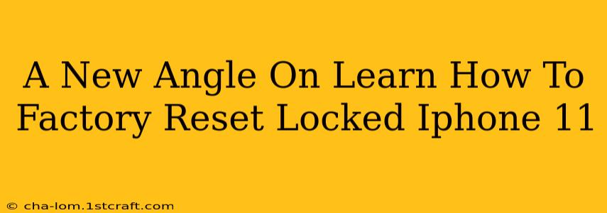 A New Angle On Learn How To Factory Reset Locked Iphone 11